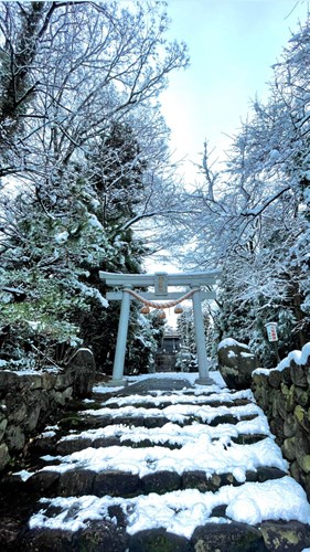 【富山市】白山社裏の画像