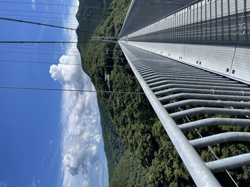 照葉大吊橋の写真