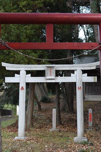 2020年12月08日撮影 西金野井稲荷神社 二種類の鳥居