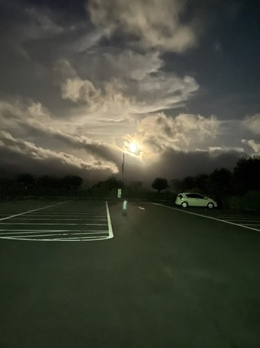 【鹿児島県】国分城山公園の画像