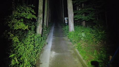 【埼玉県】田波目(多和目)城跡の画像