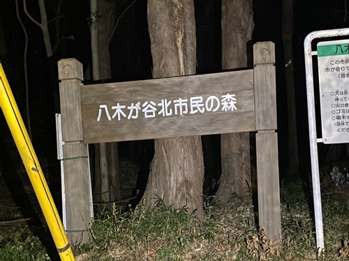 八木が谷市民の森の画像