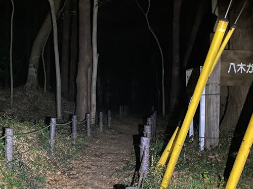八木が谷市民の森の画像