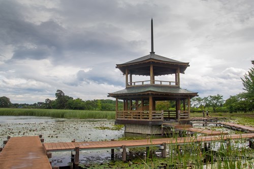 【西白河郡矢吹町】大池公園六角堂の画像