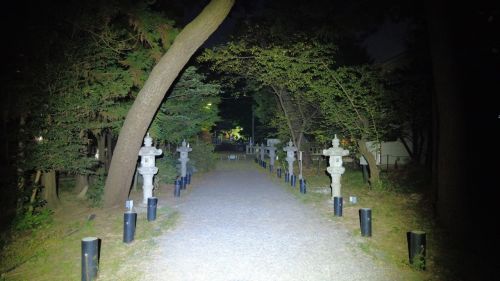 鶴嶺八幡宮の写真