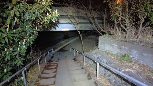 【埼玉県】妙音沢の画像