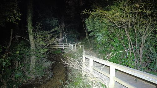 【埼玉県】妙音沢の画像