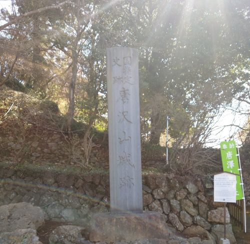 【栃木県】唐沢山城跡の画像