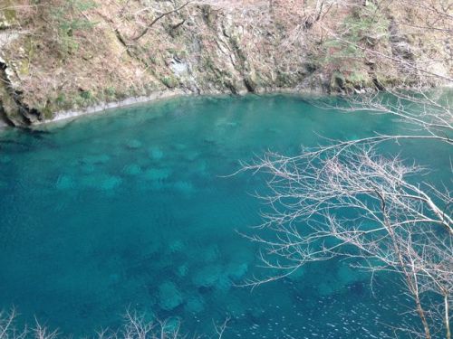 【神奈川県】玄倉川の画像