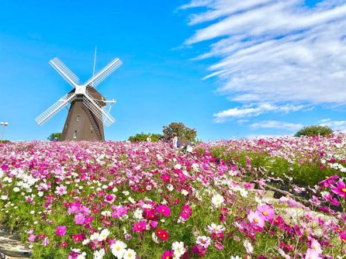 【大阪市】鶴見緑地公園の画像