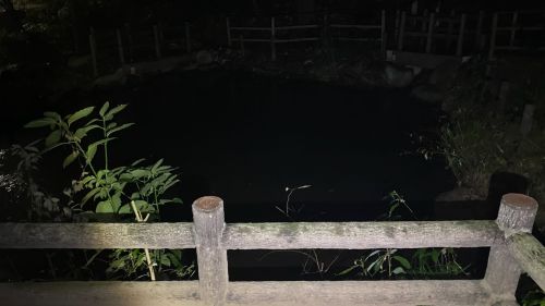 【入間郡三芳町】竹間沢こぶしの里（古井戸地蔵）の画像