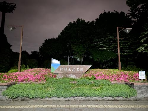 【相模原市】相模原北公園の画像