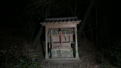 諏訪神社付近の雑木林の写真