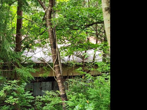 関金町今西の廃山荘の写真