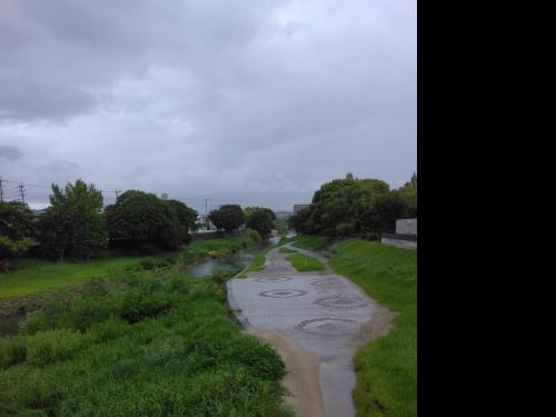 那珂川河川敷公園(警弥郷橋付近)の写真