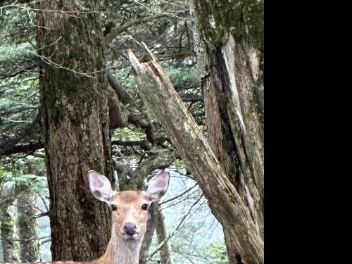 【愛知県】ホテル藤川の画像