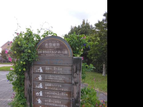 【福岡県】老司緑地の画像