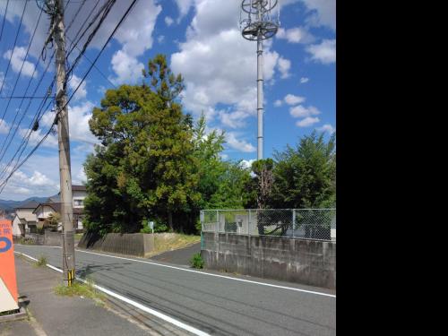 【福岡県】少年院の植え込みの画像