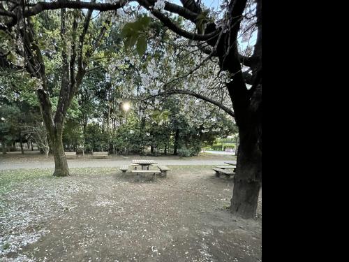 【東京都】井の頭公園の画像