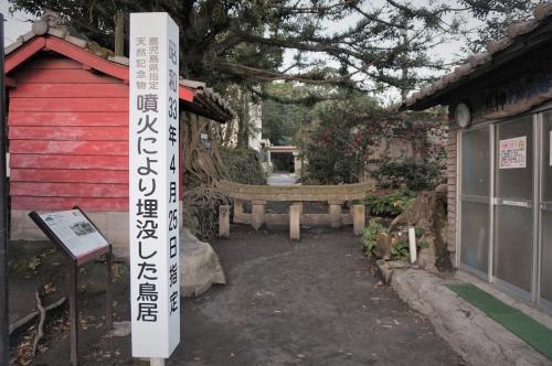 【鹿児島県】黒神埋没鳥居の画像