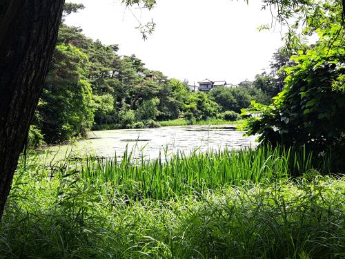 じゅんさい池公園