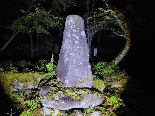 【福井県】永谷集落の廃寺(長泉寺?)　の画像