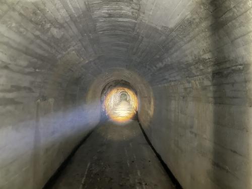 【南河内郡千早赤阪村】堀切隧道の画像