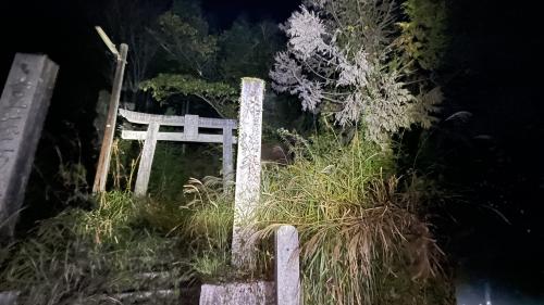 【広島県】大歳大明神の画像