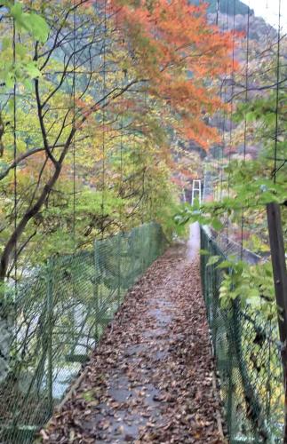 【秩父市】秩父湖に架かる吊り橋の画像