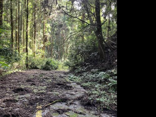 旧松井田トンネル（旧天神山隧道）の写真