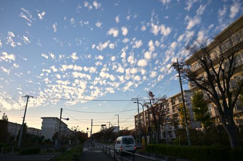 【東京都】花畑団地の画像