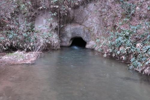 【福島県】飯盛山の画像