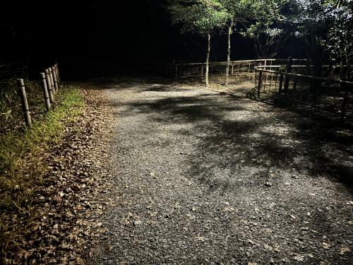 【仙台市】台原森林公園の画像