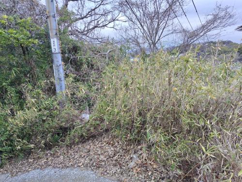 【岡山県】自殺した霊が現れる電柱の画像