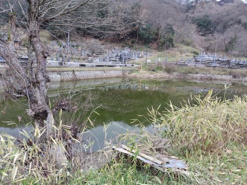 【笠岡市】霊園の溜池の画像