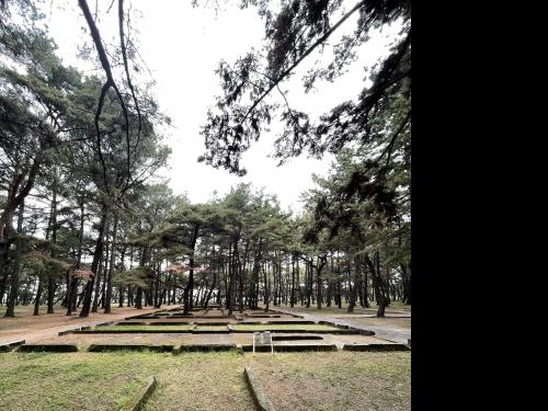 【兵庫県】浜の宮公園の画像