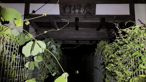 【東京都】多摩湖の山門(慶性門)の画像