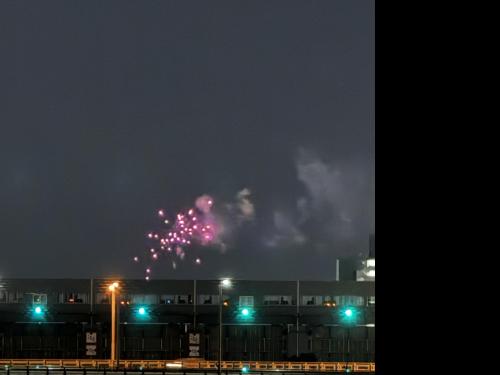 【東京都】新中川の画像