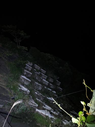 【静岡県】大崩海岸の画像