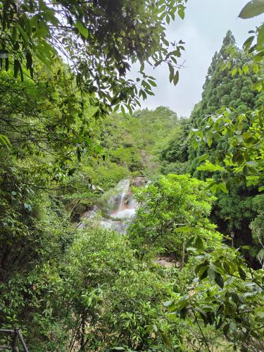 【広島県】妹背の滝の画像