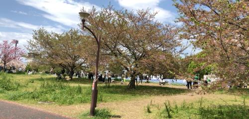 舎人公園