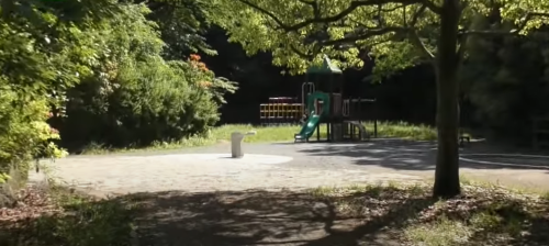 【神奈川県】坪呑公園の画像