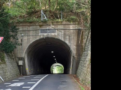 【鳥取県】円護寺隧道の画像