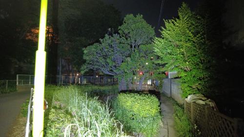 【東京都】呪いの切り株（第六天の森）の画像