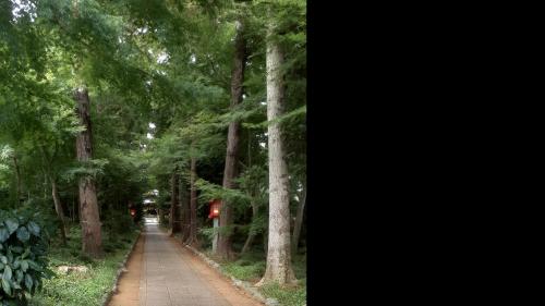 【千葉県】廣幡八幡宮の画像