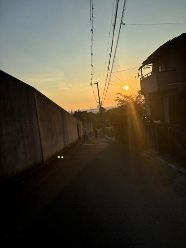 市民の森(八尾市)の写真