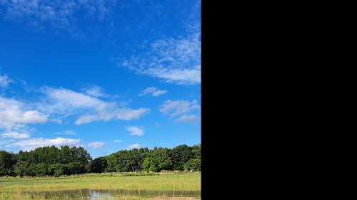 【北海道】北海道百年記念塔の画像