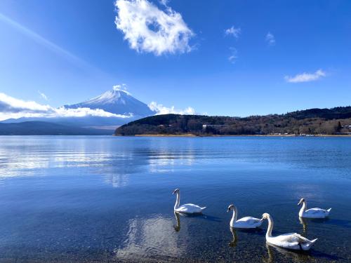 山中湖の写真