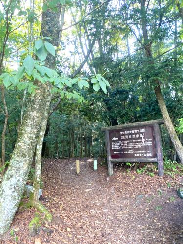 【山梨県】青木ヶ原樹海の画像