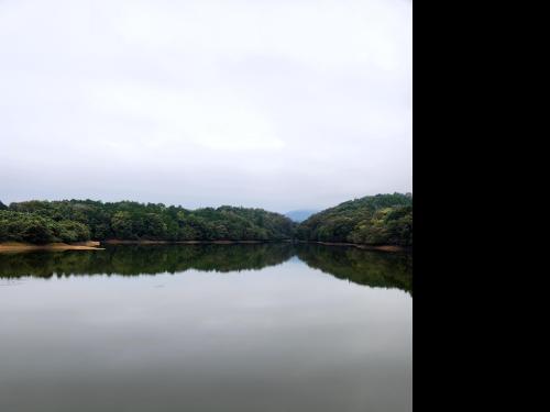 【岡山県】大沢池の画像